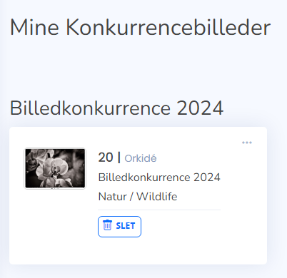 Et billede, der indeholder tekst, skærmbillede

Automatisk genereret beskrivelse