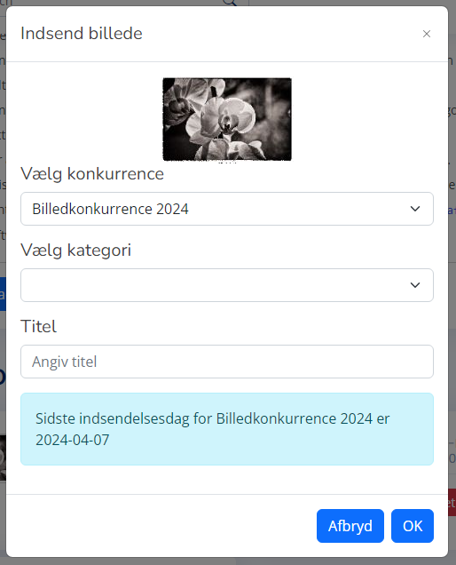 Et billede, der indeholder tekst, skærmbillede, software, Webside

Automatisk genereret beskrivelse