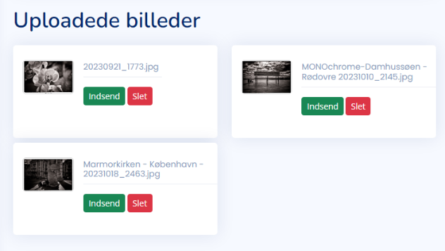 Et billede, der indeholder tekst, skærmbillede, visitkort, Font/skrifttype

Automatisk genereret beskrivelse
